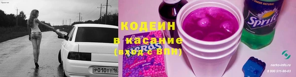 прущий лед Арсеньев